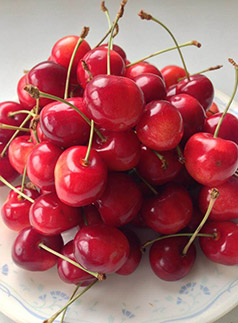 写真ギャラリー