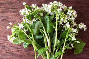 写真ギャラリー